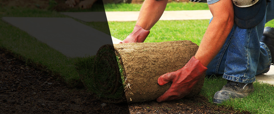 Gloucester Landscapers